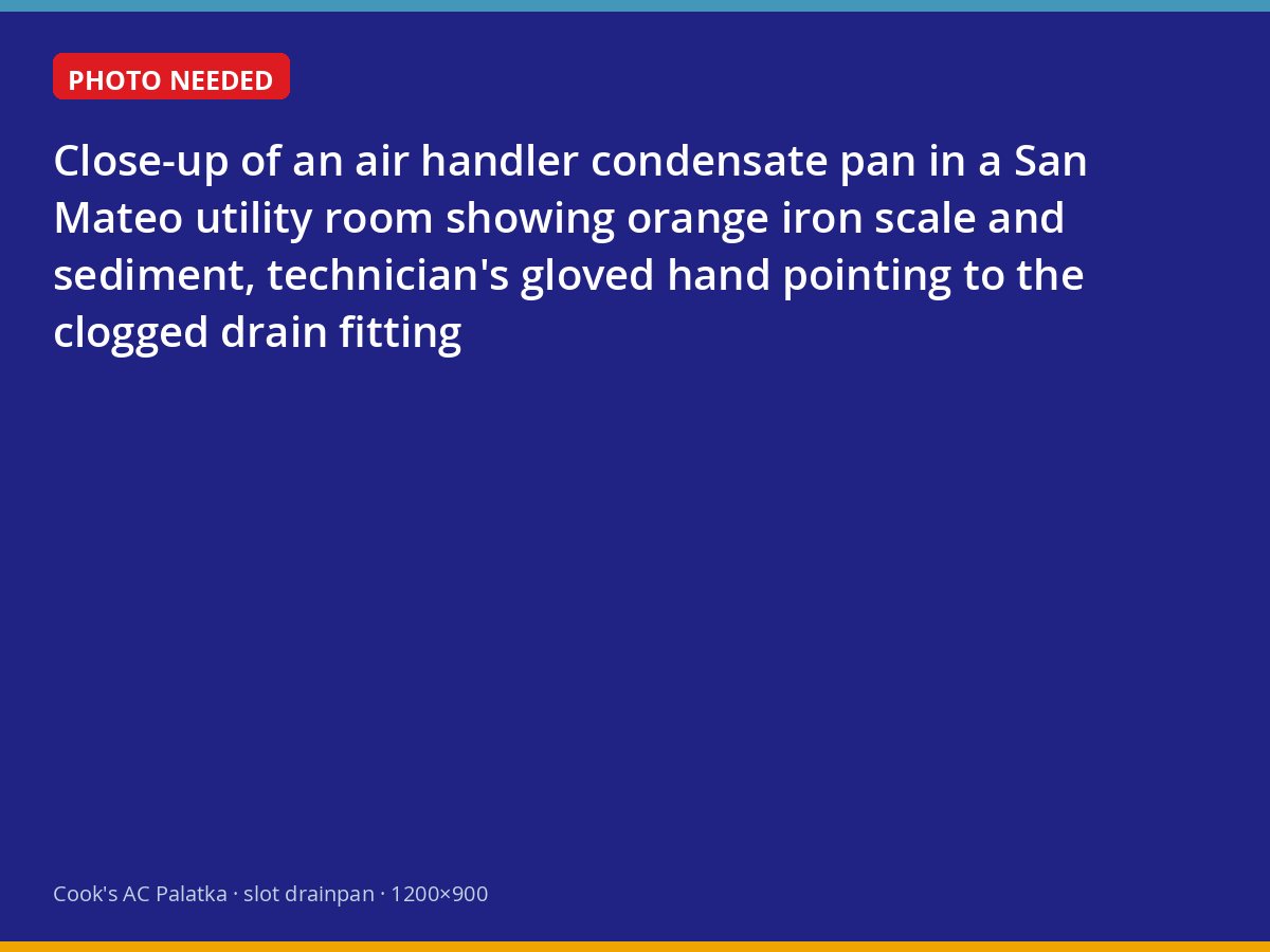 Iron-stained condensate pan and clogged drain fitting inside a San Mateo air handler