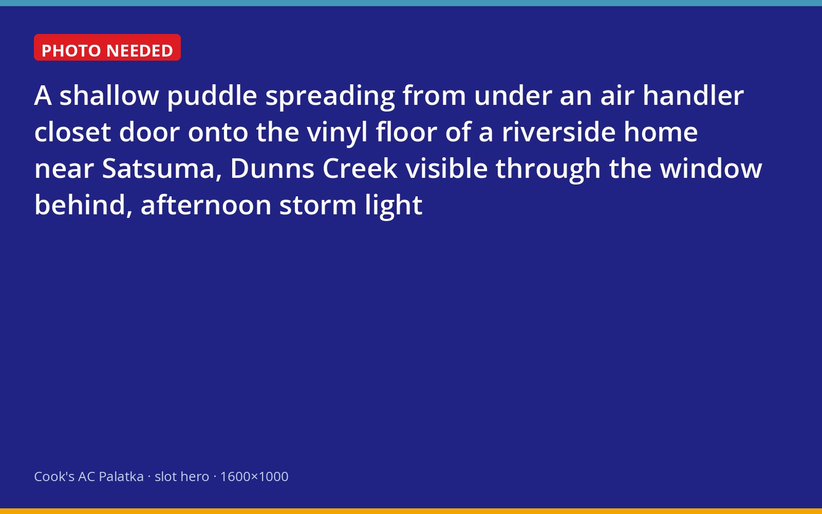 Water pooling from an air handler closet in a home near Dunns Creek in Satsuma