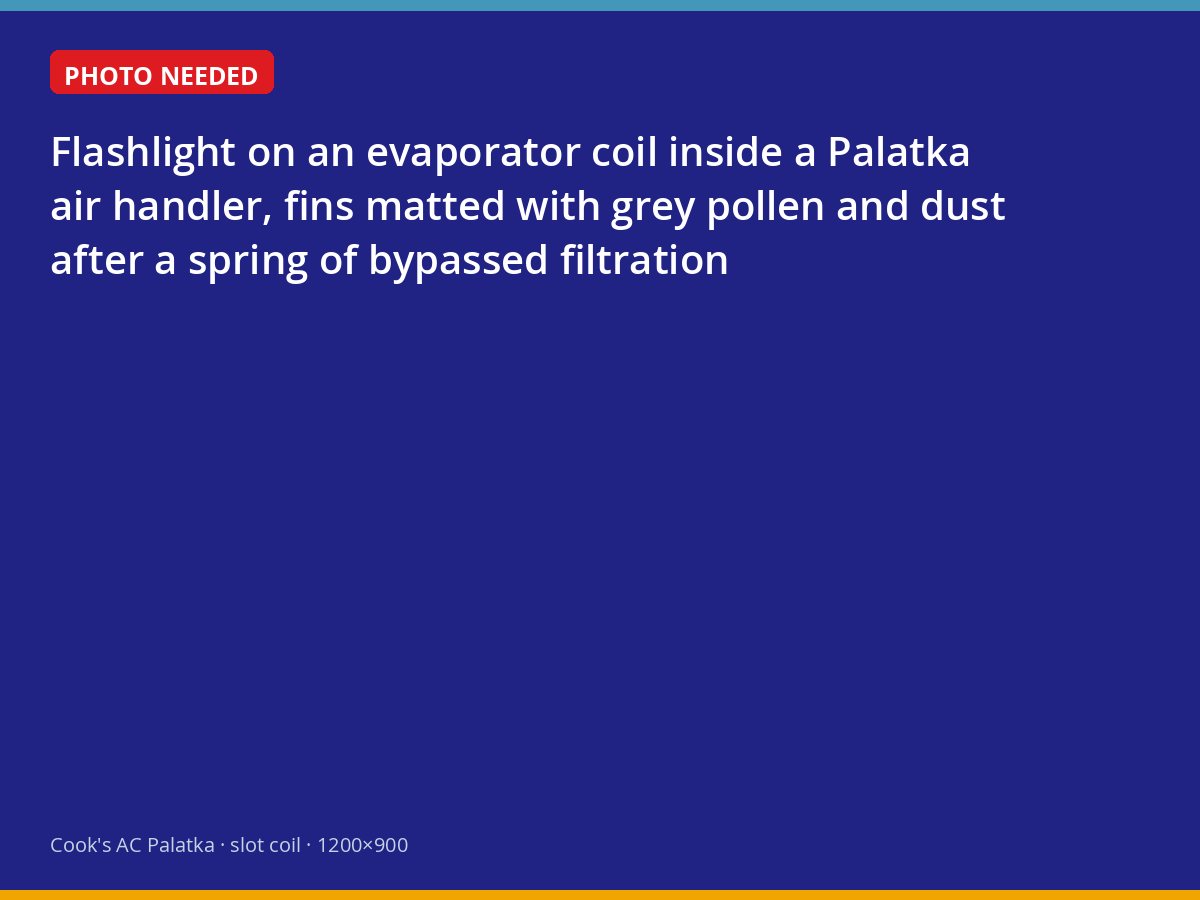 Evaporator coil fins matted with pollen and dust inside a Palatka air handler
