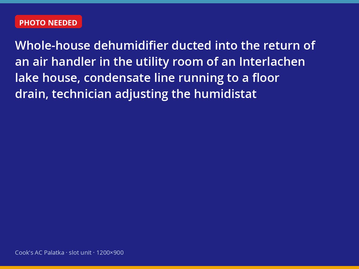 Whole-house dehumidifier installed beside an air handler in an Interlachen lake house